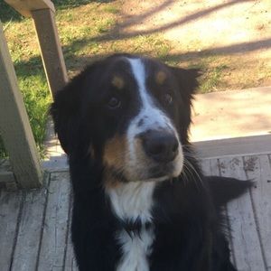 Meet your Posher, Monica